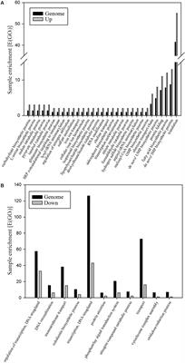 Exploring the Denitrification Proteome of Paracoccus denitrificans PD1222